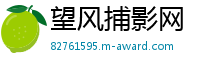 望风捕影网